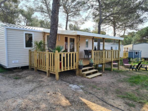Mobile home 65927 TyBreizh Holidays at the Oasis Village 4 star